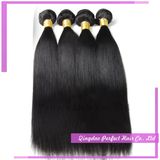 7A Mink Grade Double Weft Jet Black Indian Virgin Hair