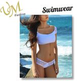 Fashion Nylon Spandex Dry Quick Swimsuit Bikini Swimwear for Women