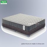 10 Inches Individual Pocket Coil Mattress with Memory Foam on Surface (MP212A)