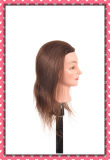 100% Human Hair Mannequin Head 16inches for Beauty School Training