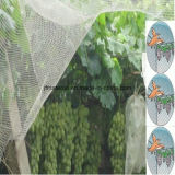 100% Virgin HDPE Greenhouse Insect Net Plastic Anti Insect Net