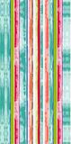 100% Cotton Velevt Beach Towel (BC-CT12687)