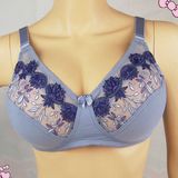 Comfortable New Design Sexy Bra