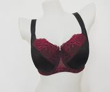 New Arrival Sexy Lace Big Size Bra Set for Lady (CS9934)