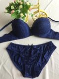 Nice Lace Microfiber Push up Bra Set (CS16905)
