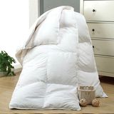 100% Polyester Hollow Fiber Duvet (DPH6151)