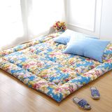 Print Floor Mattress Pad