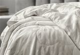 100% Mulberry Silk Medium Weight OEM Comforter