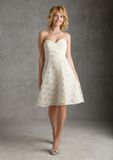 Lace Bridesmaid Fashion Dresses (FD14010)