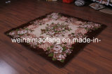 Raschel Mink Decoration Picnic Carpet (NMQ-CPT012)