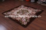 Raschel Mink Decoration Picnic Carpet (NMQ-CPT012)