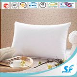 Pegasus Home Fashions Ez Dreams Microfiber Pillow, Standard, 2-Pack