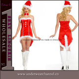 Sexy Lady Adult Mini Fancy Dress Christmas Santa Costume (2012)