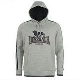 Custom Nice Cotton/Polyester Printed Hoodies Sweatshirt of Fleece Terry (F054)