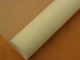 ISO9001 Certificated Factory Fiberglass Window Screen in High Quality and Good Price