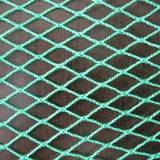 PP Knotless Bird Proof Net/Green Color Cargo Netting