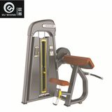 Pin Loaded Bicep Curl Machine 7008 Gym Fitness Equipment