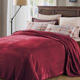 Lightweight Cozy Plush Microfiber Solid Blanket