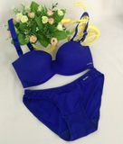 Superior Material Blue Breathable Classic Seamless Bra Set for Ladies