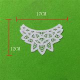 Fashion 100 Cotton Hand Made Crochet Lace Collar (cn100)