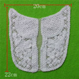 Factory Direct Sale Cotton Embroidery Lace Collar (cn55)