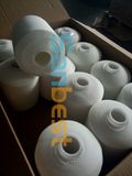 High Tenacity Polyester Sewing Thread on Dying Tube