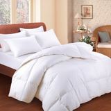 Simply Anti-Bacterial All Seasons Polyester Comforter