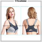 OEM Free Sample Hot Selling Ladies Individuality Sexy Sport Bra