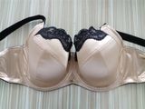 Western Design High Quality Plus Size Bra