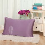 Taihu Snow Silk Hotsale OEM Oeko-Tex 100 Standard Mulberry Silk Bedding 19momme Pure Real Luxury Bedding Silk Pillow Case