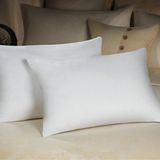 100 Polyester Fiber Pillow (WWW-0012)