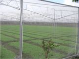 Greenhouse Netting Anti Fly Insect Net for Vegetable Gardens