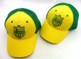 Custom Burshed Cotton Promotional Sports Baseball Cap