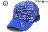 Fashion Polyester Baseball Mesh Trucker Cap with Printing Logo