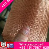 Rich Resist High Temperature Molybdenum Wire Mesh, Molybdenum Wire Cloth