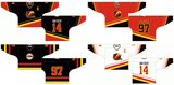 Customized Ontario Hockey League Owen Sound Platers Hockey Jersey