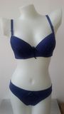 Wholesale Sexy Bra and Panty Ladies Lingerie (CS16919)