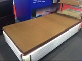 Beijing International Ageing Industry Expo 2017 Mattress for Ageing People