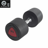 Gym Equipment Dumbbells Osf004 Free Weight 2kg PU Dumbbell