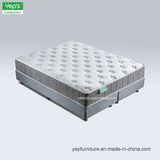 Top Rated Best Organic Medium Comfort Coil Mattress for Good Sleep (PS101)