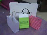Custom Printed Shopping Paper Bag
