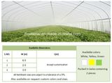 Insect Proof Net, Mesh Net, UV Net (Anti-Insect Net Anti-Bird Plastic Net Agricultural Insect Net HDPE Net Anti-Insect Net)