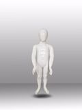 Full Body Kid's Mannequin