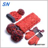 2013 Acrylic Knitted Stock Promotion Hat Gloves Scarf (SNXY1001)