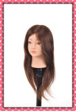 Hot 100% Human Hair Mannequin Head 22inches for Beauty School