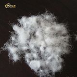 Cheap Washed Grey Duck  Feather  2~4cm  Feather  Filling Material for Sofa Pillow Cushion Bedding Garment