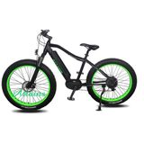 Snow Mountain Fat Ebike 350W Electric Bike for Man