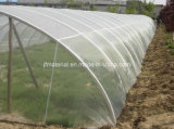 Anti-Insect Proof Net, Mesh Net, UV Net (Anti-Insect Net Anti-Bird Plastic Net Agricultural Insect Net HDPE Net Anti-Insect Net)