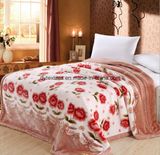 Factory Wholesale High Quality Raschel Embossed Super Soft Blanket