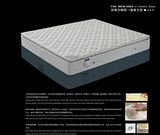 Ruierpu Furniture - Bedroom Furniture - Beds - Sofa Beds - Hotel Furniture - Cozy Home Furniture - Latex Beds Mattresses